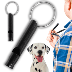 a194c70fb2a30899fcaa72cfc9ee6483