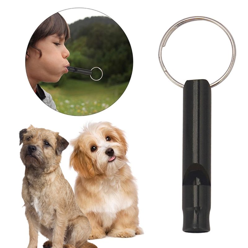 67909073d6ed07cbd80fae4392d721ca