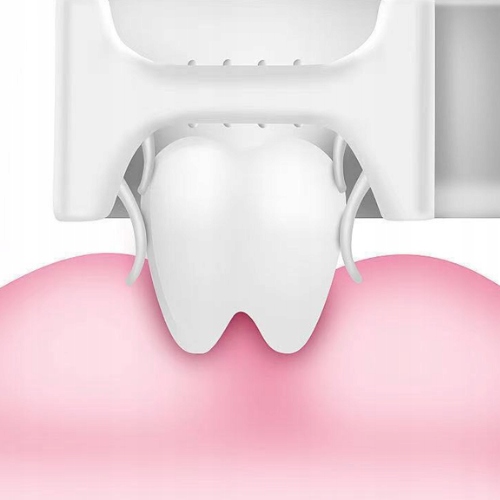 51b93606fd44c8c5eeadb494edf25809