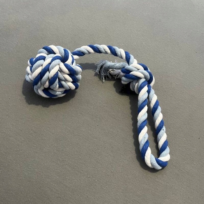 e4dc0139840ba023c918978ad1127a9b