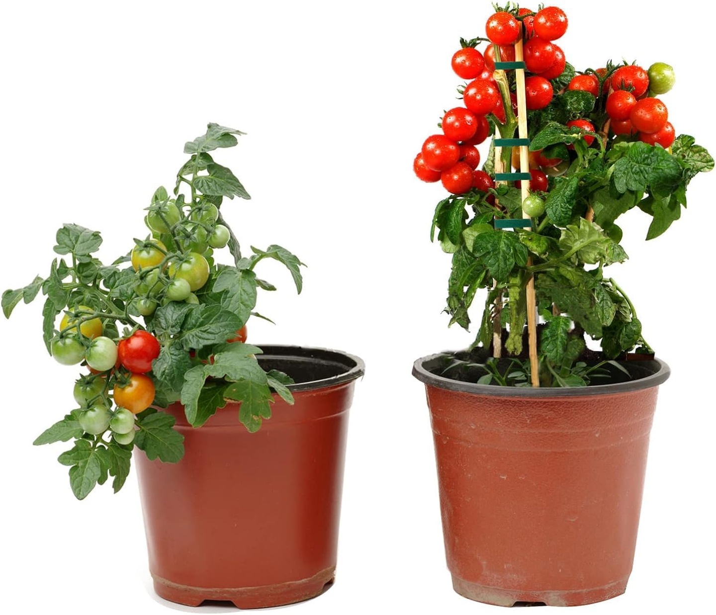 6a739fc5077976985ac10ed306892599