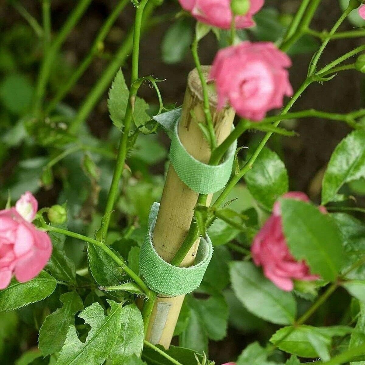 1d9b5c3f047c384568969d93fd415264