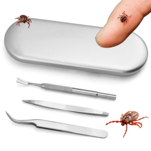 eae16eaf641693d581fa762e8f54512a