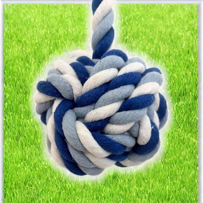 9110753716f2c03b0ae90a8407e2775e