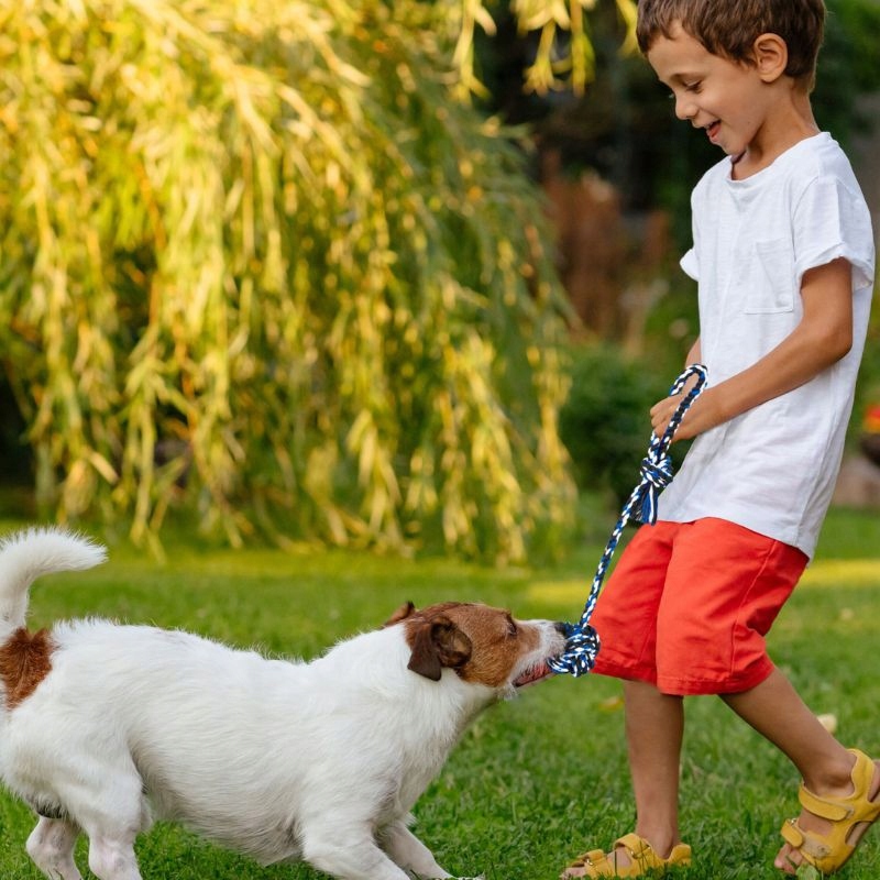 f27a58b075c5e24f69fabd0d7de1b507