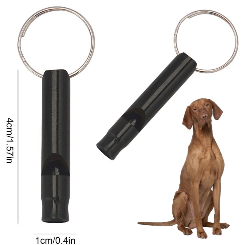 24110c9791b783fc28126de00967ec5a