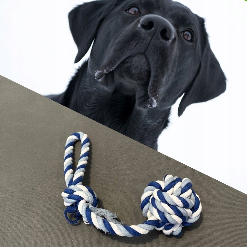 067dee69a0607eec172c379e22966581