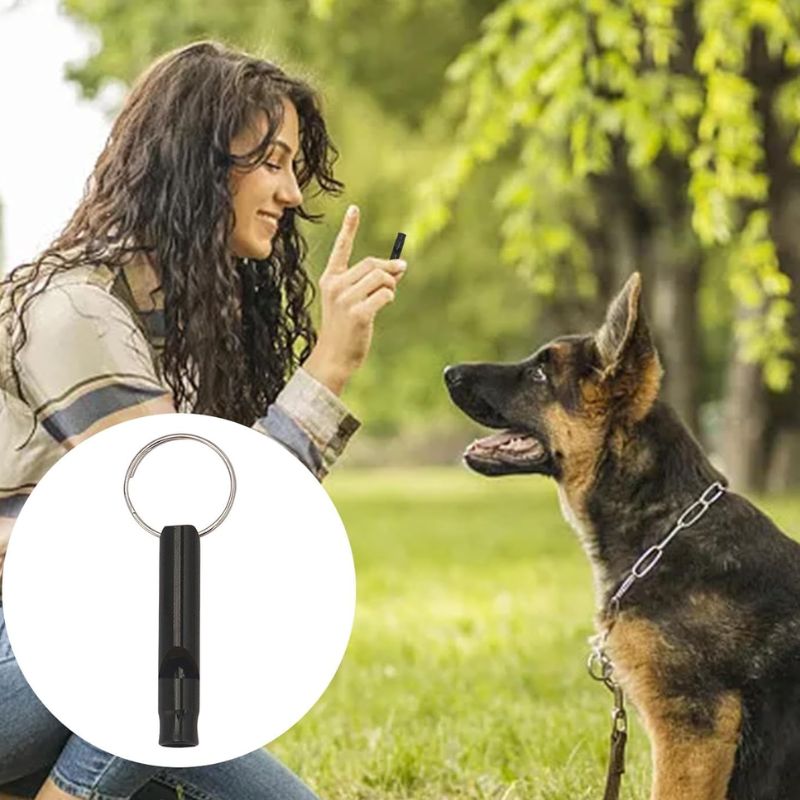 be3097d0b9f4033d4c1c527943fb03ad