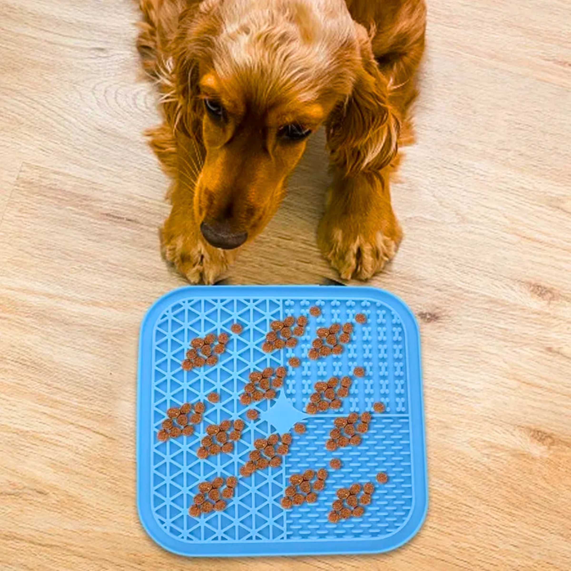 8c5ea8bf930c35501139a4b50042c2d5