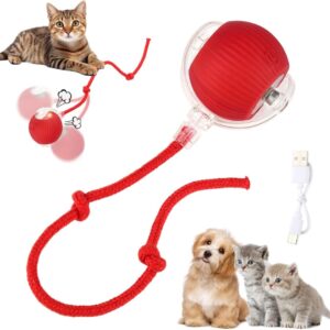 b1e26c4a0f362833bbf62d884d5d4519