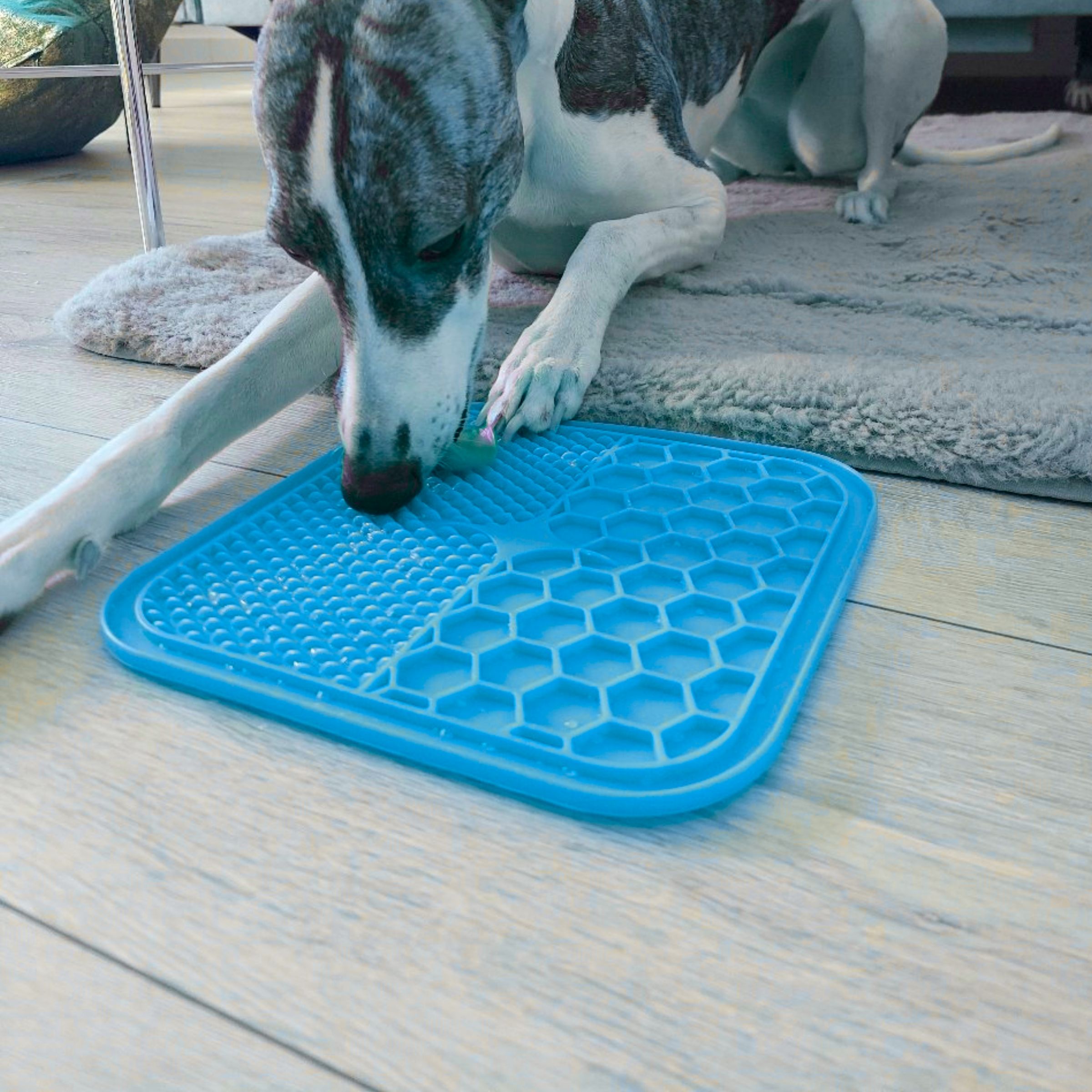 9441f10f624210f46b820803f8e9a613