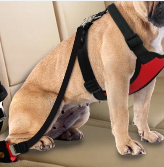 7a31ca53502b20506f46b17d33fe9763