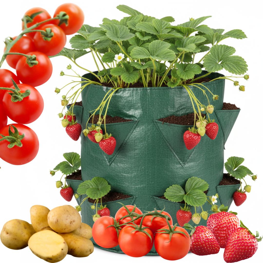 9238820058cc46134d601c7345bae04d