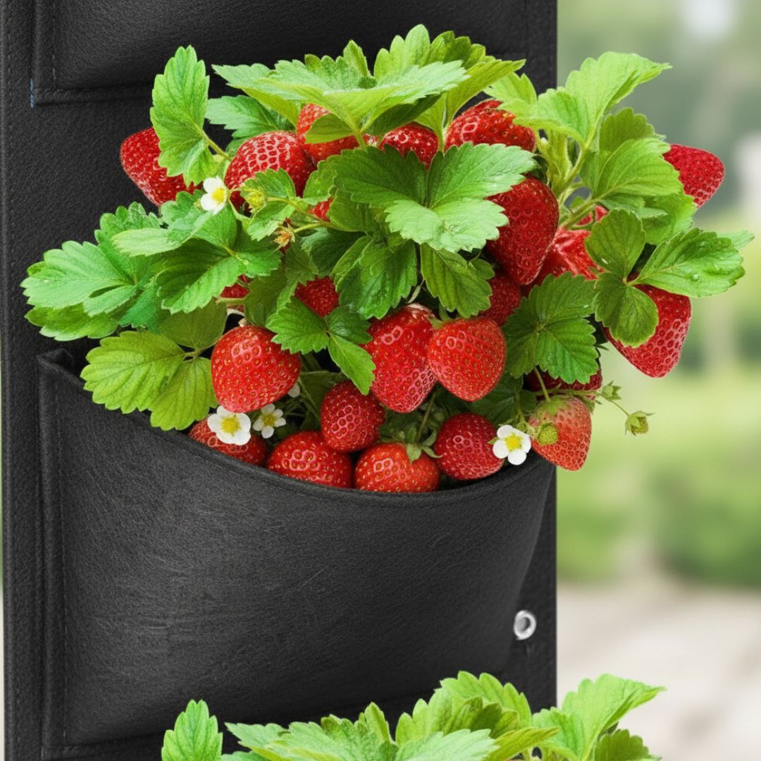 f3a54c5b185ac0345de254d7d3eaa382